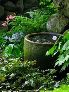 an old barrel filled with water surrounded by greenery and flowers in a garden area