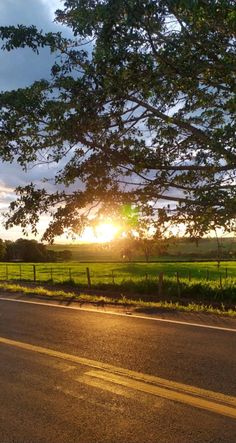 the sun is setting behind a large tree on the side of the road in front of a grassy field