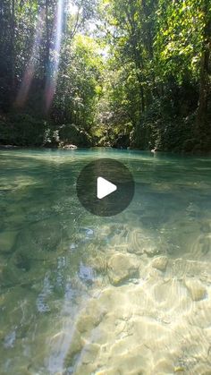 a river with clear water surrounded by trees