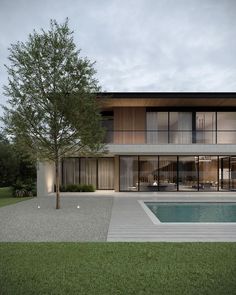 a modern house with a pool in the front yard