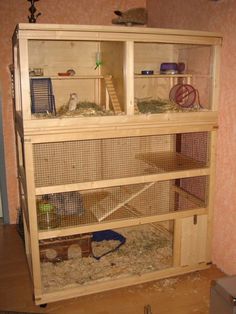 a large wooden shelf filled with lots of small birds and hamsters on top of it