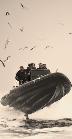 a speed boat with four people in it and seagulls flying around the boat