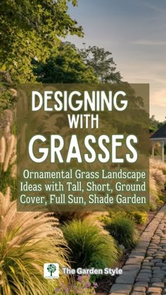 a garden with grass in the background and text describing designing with grasses ornamenal grass landscape ideas with tall short, ground cover, full sun