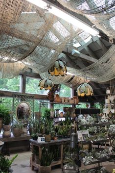 a room filled with lots of plants and hanging lights