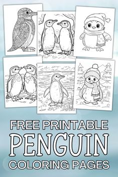 penguin coloring pages for adults and children with the title free printable penguin coloring pages