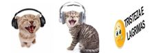 two cats with headphones on and one cat yawning