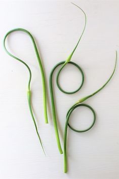 three long green stems on a white surface