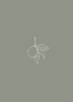 an apple with leaves is shown on a gray background in this graphic art drawing, it's easy to draw