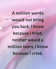 a poem written in white and pink with the words million words would not bring you back, i know because i tried to