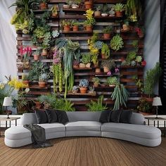 a couch sitting in front of a wall filled with succulents and plants