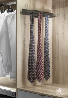 three ties hanging on hooks in a closet