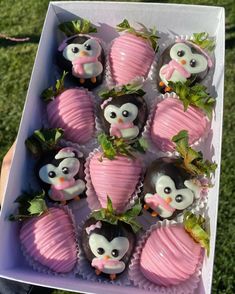 chocolate covered strawberries with pink frosting in a box on the grass, decorated to look like owls