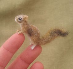 a tiny squirrel sitting on top of a finger