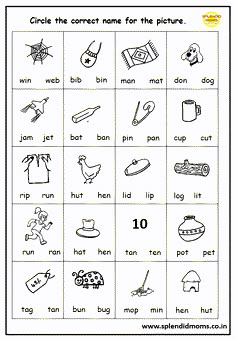 a worksheet for children to learn how to write the correct words