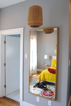 a dog laying on the floor in front of a large mirror with a hanging lamp above it