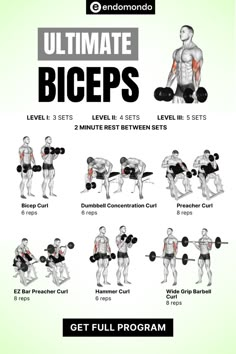 Boost your arm strength with this ultimate biceps workout. Designed as a comprehensive workout plan for men, these exercises target your biceps for maximum muscle growth. Ready to sculpt powerful arms? Click now to explore the best arm workout routine! Biceps Workouts For Men Gym, Full Arm Day Workout, Build Muscle Men Workout Plans, Compound Bicep Workout, Biceps Peak Workout, Bicep Destroyer Workout, Biceps Workout At Gym, Biceps Exercise For Men, Arm And Bicep Workout