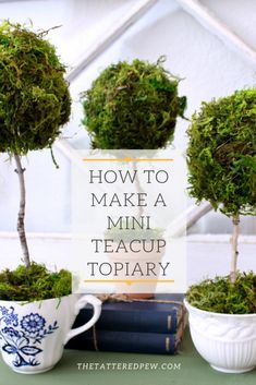 how to make a mini teacup topiary