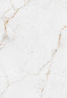 a white marble texture with gold veining