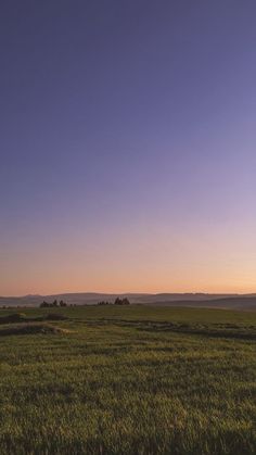 an open field with grass and trees in the distance