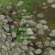 a book cover with an image of rocks and plants on the ground, which reads amid chaos, a beautiful flower blooms