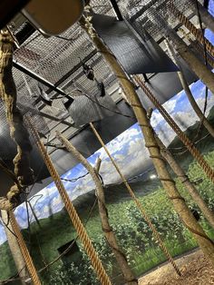 an animal exhibit with ropes and trees in the foreground