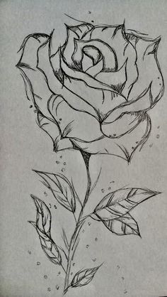 a pencil drawing of a rose on paper