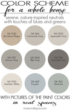 the best neutral paint colors for walls and ceilings with pictures of the paint colors in each color scheme