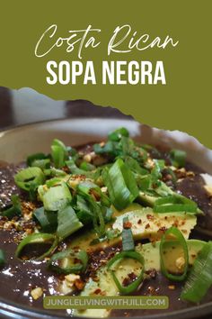 a close up of a bowl of food with text overlay that reads costa rican sopa negra