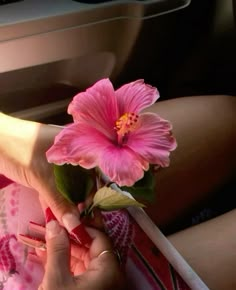 a person holding a pink flower in their hand