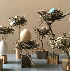 several birds nests with eggs in them on wooden blocks and wood sticks, against a beige wall