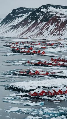 the red houses are surrounded by ice floes and snow covered mountains in the distance