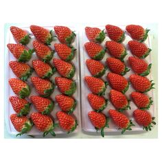 two plastic trays filled with strawberries on top of a white countertop next to each other