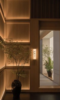 a potted plant sitting on top of a wooden table next to a doorway with lights