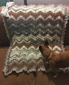 a small dog standing next to a crocheted pillow