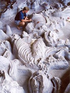 a man sitting on top of a sandy beach next to an animal skeleton