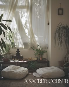 a living room filled with lots of plants and pillows