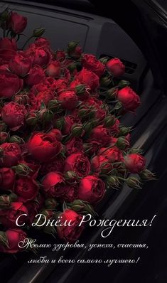 a bouquet of red roses sitting on the hood of a car with an inscription in russian