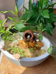 a bowl filled with plants and rocks on top of a table next to a potted plant