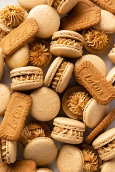 an assortment of cookies and macaroni shells