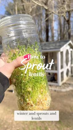 a person holding a jar filled with grass