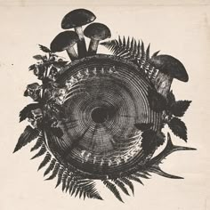 an image of mushrooms and ferns on a white paper with black ink in the center