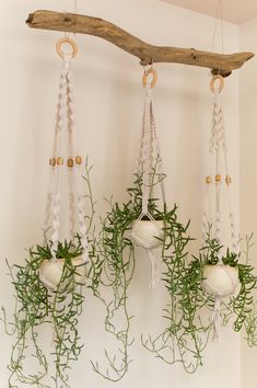 three macrame balls hanging from a tree branch