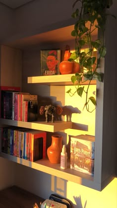 a book shelf with books and plants on it