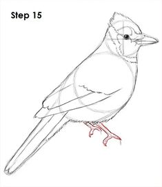 a drawing of a bird sitting on top of a piece of paper with the words step 15