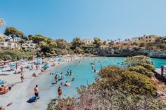 many people are on the beach and in the water