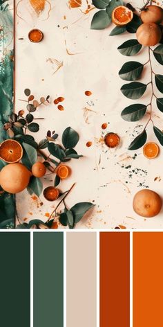 Colors That Contrast With Green, Lemon Color Palette Colour Schemes, Orange Green Red Color Palette, Complementary Colors To Green, Dark Green And Orange Color Palette, Terracotta And Olive Green Color Palette, What Colour Goes With Orange, Interior Design Colour Combination, Sage Orange Color Palette