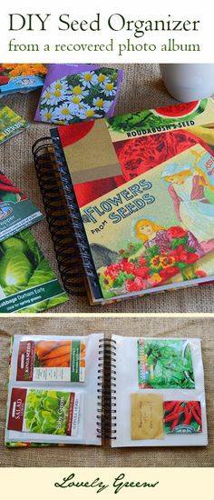 an open book with pictures on it and the title diy seed organizer from a recycled photo album