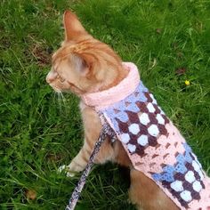 an orange cat wearing a pink and blue sweater sitting in the grass with its eyes closed