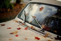 an old car with autumn leaves on the windshield