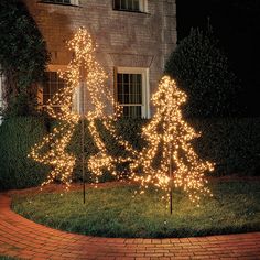 two lighted trees in front of a brick house at night with the lights on them